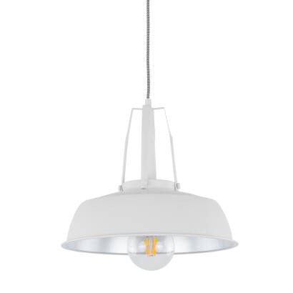 Italux Paloma MDM-3619/1M W+SL lampa wisząca IP20 E27 1x60W 35cm 