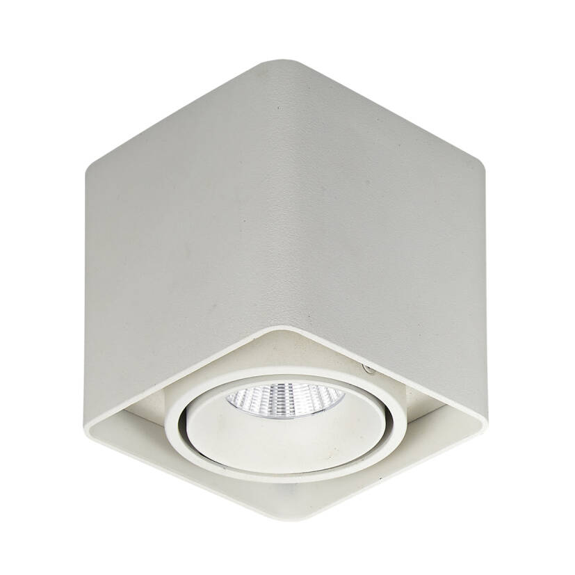 Italux Bonnie SLC78004/10W WH oprawa natynkowa nowoczesna LED 10W 3000K 10cm IP20