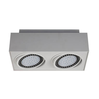 Zuma Line  BOXY CL 2 oprawa oświetleniowa spot biały GU10/AR111 2x15W LED 31cm